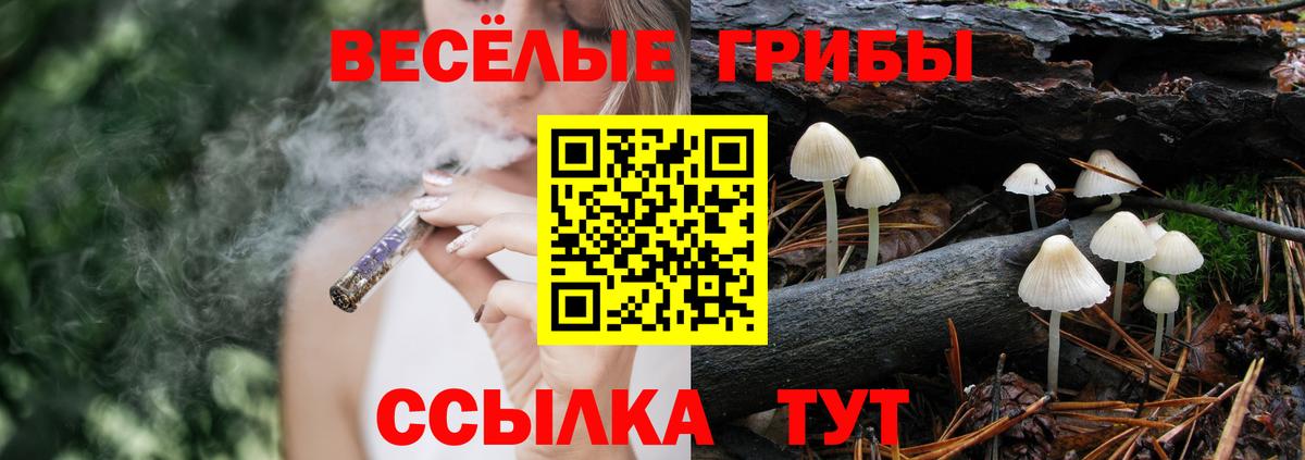 Гагарин  Псилоцибиновые грибы Magic Shrooms  Вход с VPN  Псилоцибиновые грибы GOLDEN TEACHER 