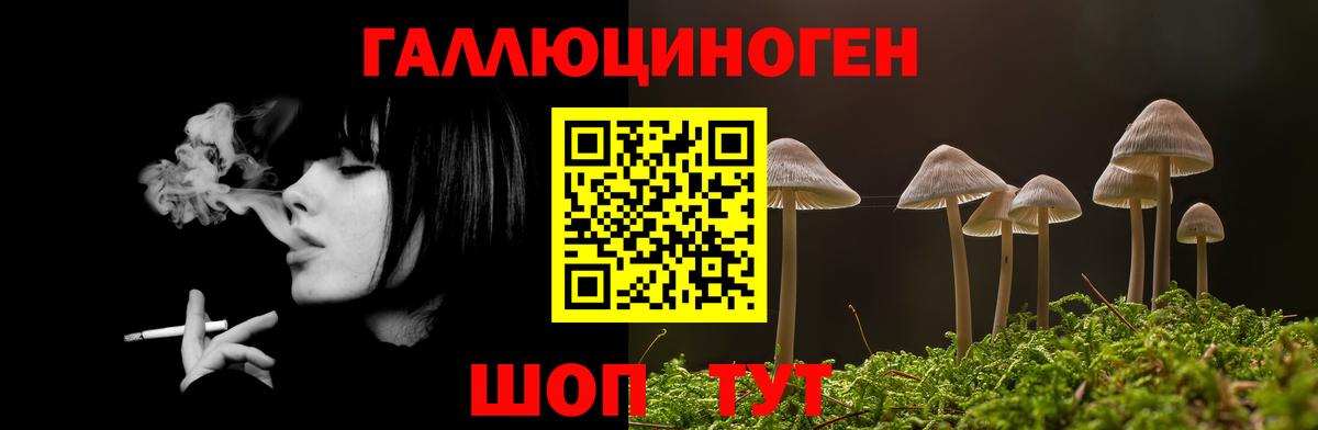 Галлюциногенные грибы Cubensis Гагарин